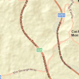 San Salvatore Monferrato Street Map