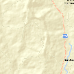 Comuna Bustuchin Street Map
