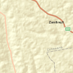 Cotmeana Street Map