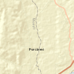 Purcăreni Street Map