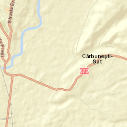 Târgu Cărbuneşti Street Map