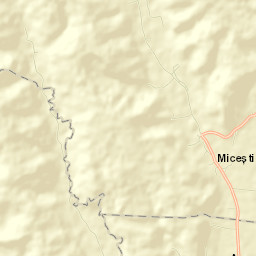 Miceşti Street Map