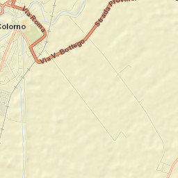 Colorno Street Map