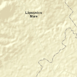 Comuna Lăpuşnicu Mare Street Map