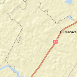 Viișoara Street Map