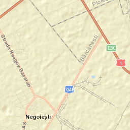 Negoiești Street Map