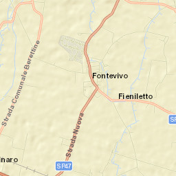 Fontevivo Street Map