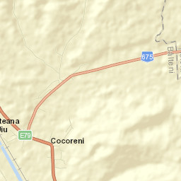 Peșteana Jiu Street Map