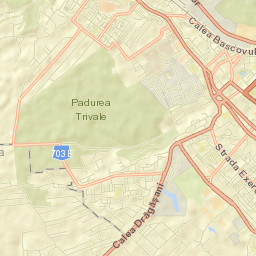 Piteşti Street Map