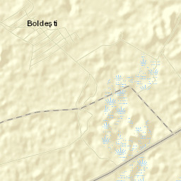 Boldeşti Street Map