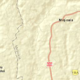 Moşoaia Street Map