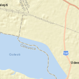 Golești Street Map