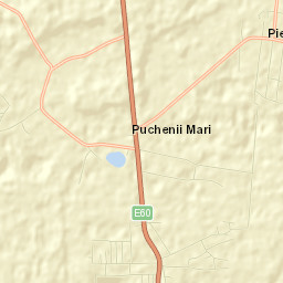 Puchenii Mari Street Map