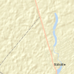 Sălciile Street Map