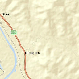 Plopşoru Street Map