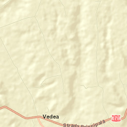 Vedea Street Map