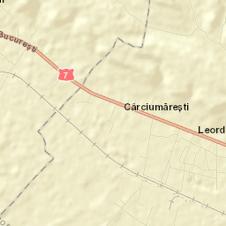Leordeni Street Map