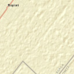 Roşiori Street Map