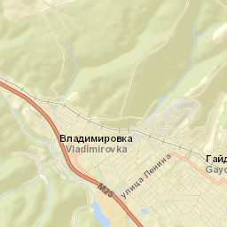 Gayduk Street Map