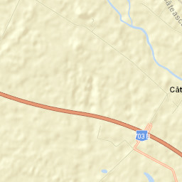 Căteasca Street Map