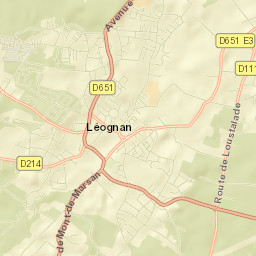 Léognan Street Map