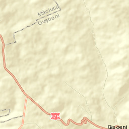 Guşoeni Street Map