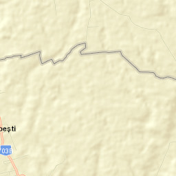 Bărăștii de Vede Street Map