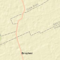 Broșteni Street Map