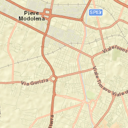 Reggio nell'Emilia Street Map