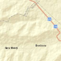 Borăscu Street Map