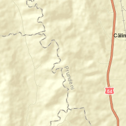 Călina Street Map