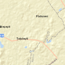 Comuna Suseni Street Map