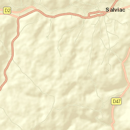 Salviac Street Map