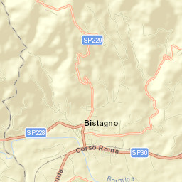 Bistagno Street Map