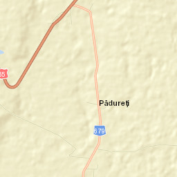 Comuna Lunca Corbului Street Map