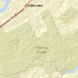 Ciofliceni Street Map
