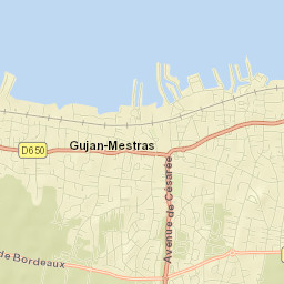 Gujan-Mestras Street Map