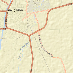 Savigliano Street Map