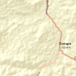 Lopare Street Map
