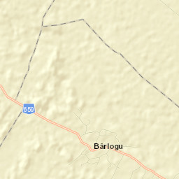 Bârlogu Street Map