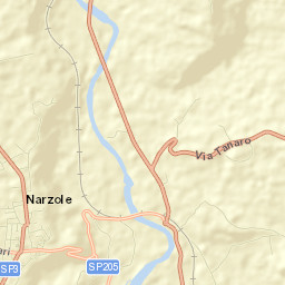 Narzole Street Map