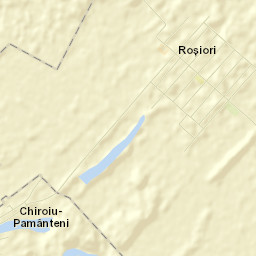 Roșiori Street Map