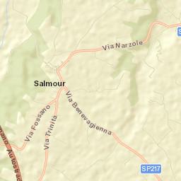 Salmour Street Map