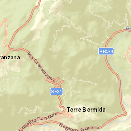 Torre Bormida Street Map