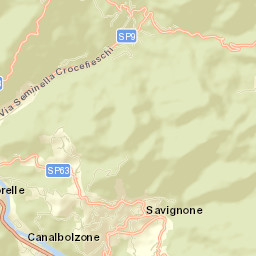 Savignone Street Map