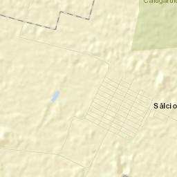 Sălcioara Street Map