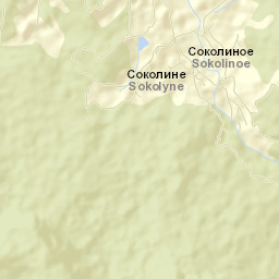 Sokolinoye Street Map