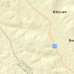 Comuna Cârlogani Street Map