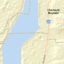 Curtişoara Street Map