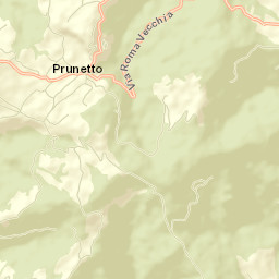 Prunetto Street Map